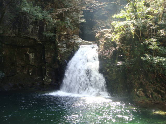 ナタラジャのヨガブログ