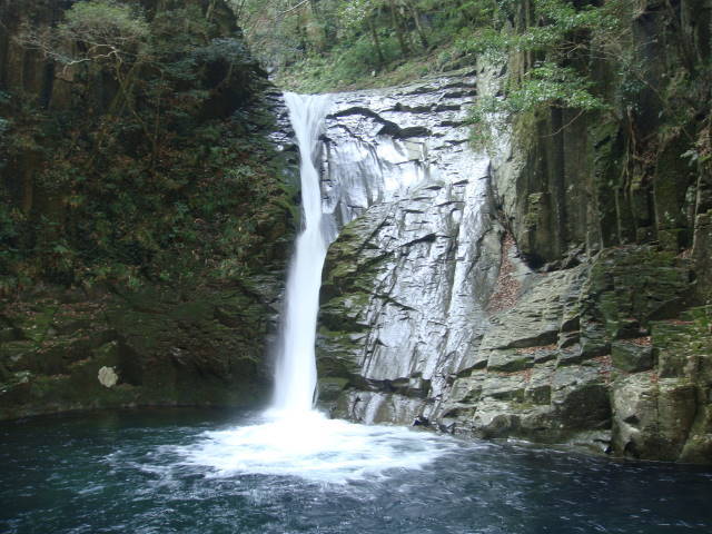 ナタラジャのヨガブログ