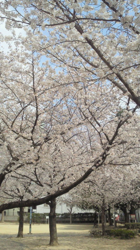 ナタラジャのヨガブログ