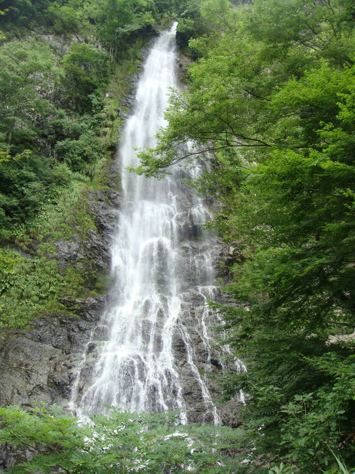 ナタラジャのヨガブログ