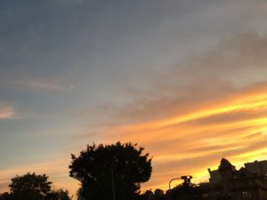 IMG_5663