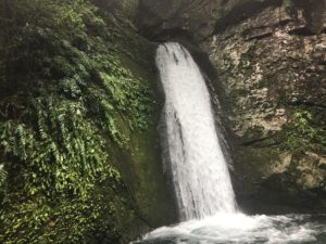 IMG_4370-1