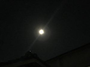 IMG_5968