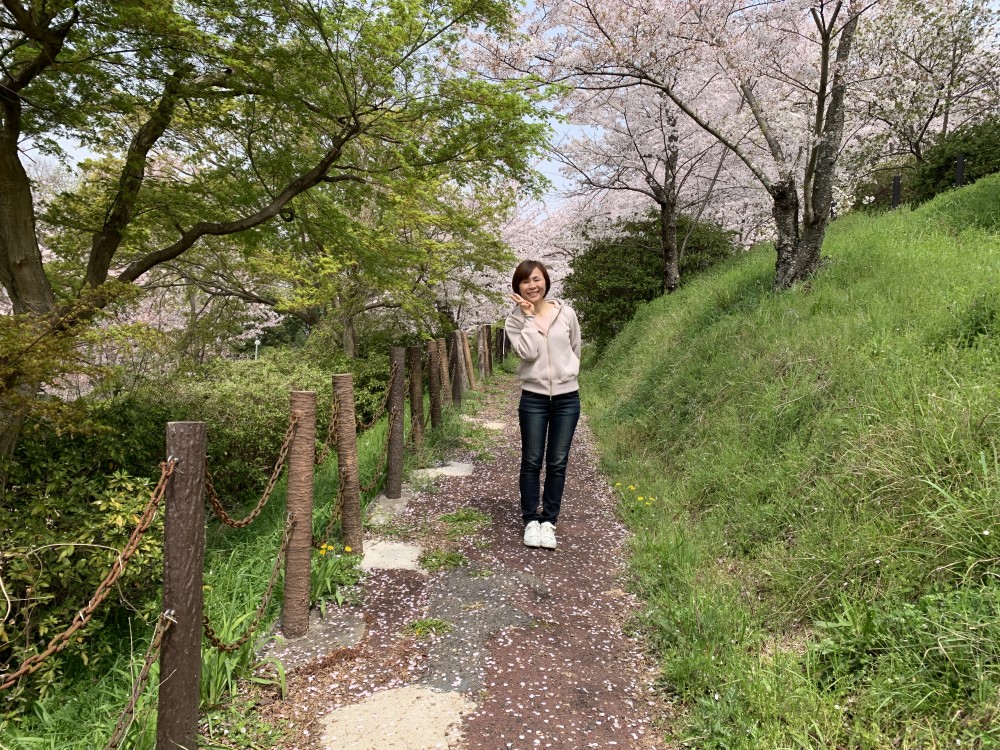 滝谷公園の桜